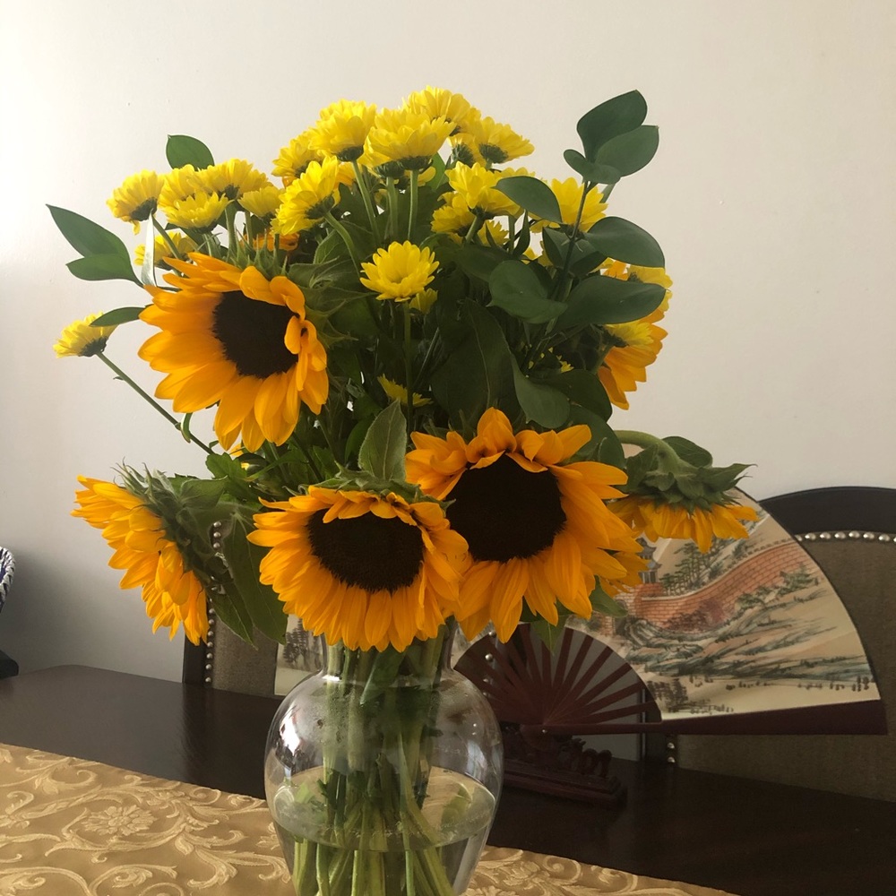 Meet your Posher, Elsa